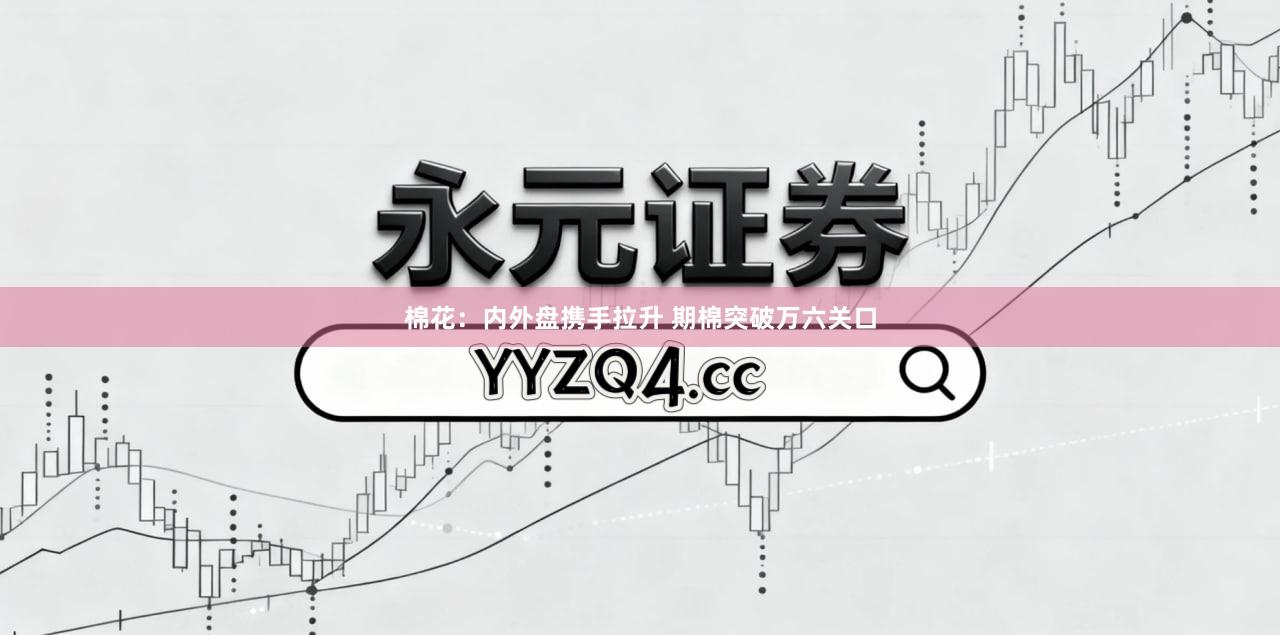 棉花：内外盘携手拉升 期棉突破万六关口