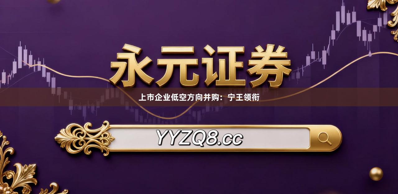 上市企业低空方向并购：宁王领衔