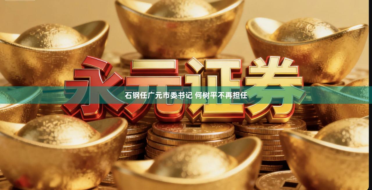 石钢任广元市委书记 何树平不再担任