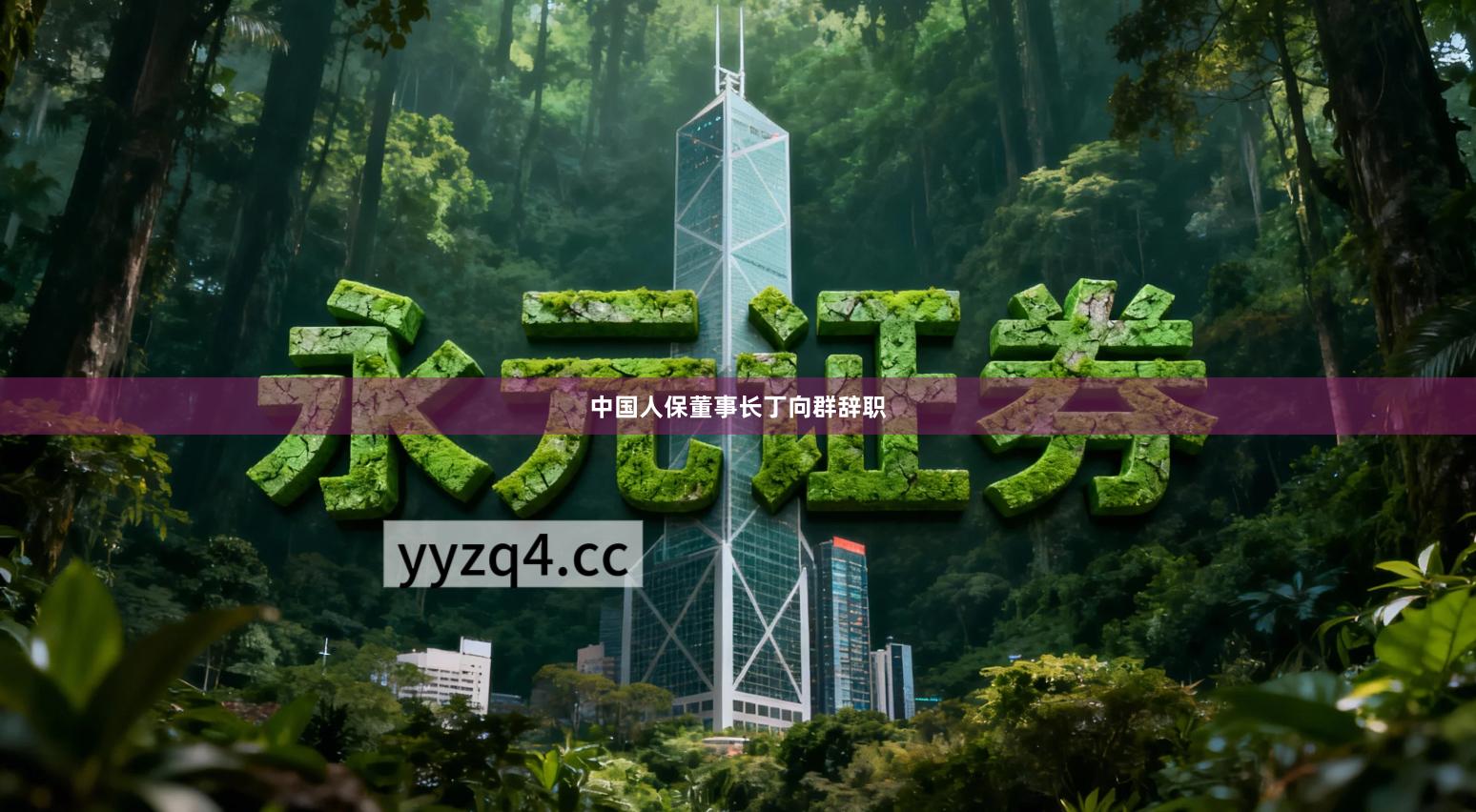 中国人保董事长丁向群辞职